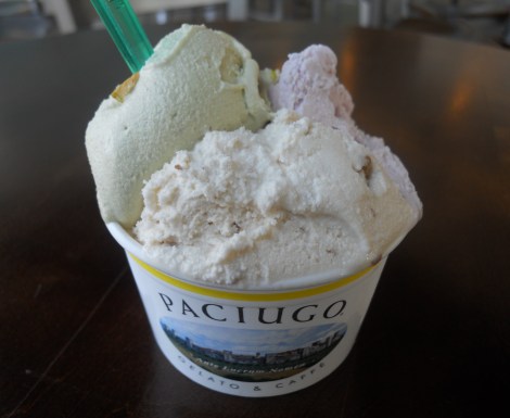 Cup of Paciugo Gelato