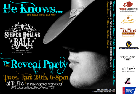 Silver Dollar Ball Reveal Party
