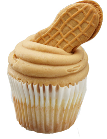 Trailercakes PB&J T-Cake