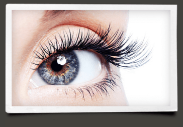 image via theblinkbar.com